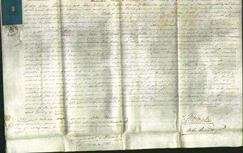 Court of Common Pleas - Ann Pattison-Original Ancestry