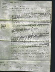 Court of Common Pleas - Matilda Susan De St. Sauveur-Original Ancestry