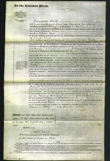 Court of Common Pleas - Harriet Niven-Original Ancestry