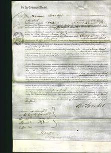 Court of Common Pleas - Mary Munt-Original Ancestry