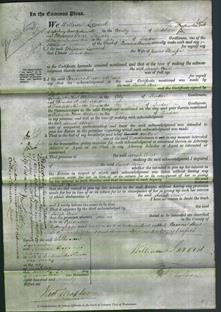 Court of Common Pleas - Sarah Ann Playfer-Original Ancestry