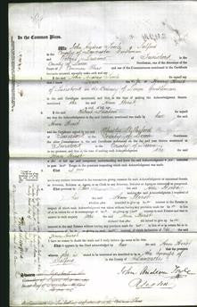 Court of Common pleas - Ann Hirst-Original Ancestry