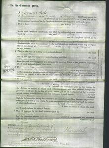 Court of Common Pleas - Susan Jones-Original Ancestry