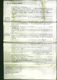 Court of Common Pleas - Sarah Ann Edgell-Original Ancestry