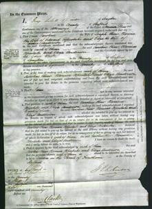 Court of Common Pleas - Caroline Chew, Clarissa Copeslake and Eliza Anderson-Original Ancestry