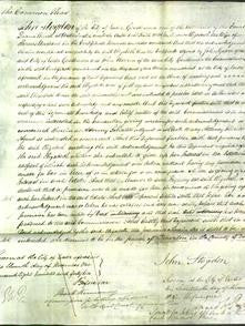 Court of Common Pleas - Elizabeth Merchant