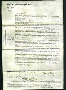 Court of Common Pleas - Jane Higgins-Original Ancestry