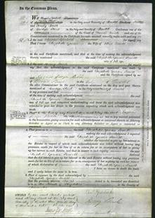 Court of Common Pleas - Elizabeth Gomer Powell-Original Ancestry