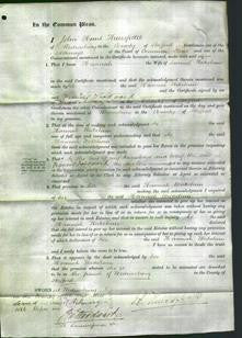 Court of Common Pleas - Hannah Wakelam-Original Ancestry