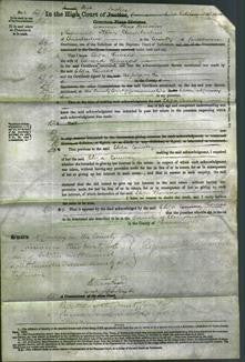 Court of Common Pleas - Eliza Thomas-Original Ancestry