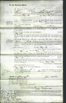 Court of Common Pleas - Mary Ann Cooke-Original Ancestry