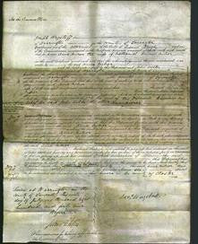 Court of Common Pleas - Anne Milner-Original Ancestry