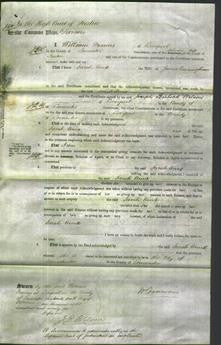 Court of Common Pleas - Sarah Anne Cunningham-Original Ancestry