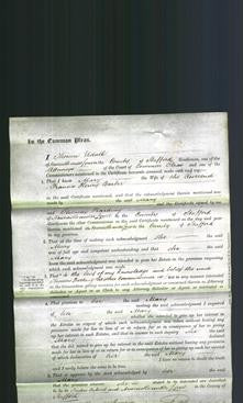 Court of Common Pleas - Mary Barber-Original Ancestry