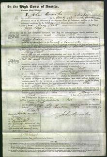 Court of Common Pleas - Mary Platt-Original Ancestry