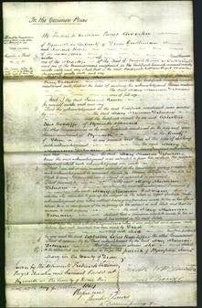 Court of Common Pleas - Mary Newman Debnam-Original Ancestry