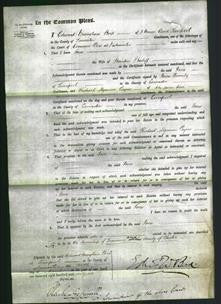 Court of Common Pleas - Jane Bailiff-Original Ancestry