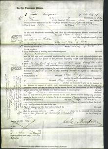 Court of Common Pleas - Eliza Briggs-Original Ancestry