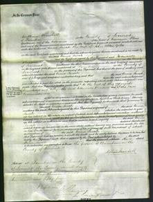 Court of Common Pleas - Anna Sarah Giles-Original Ancestry