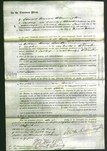 Court of Common Pleas - Ann Morris-Original Ancestry