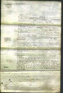 Court of Common Pleas - Elizabeth Smith-Original Ancestry