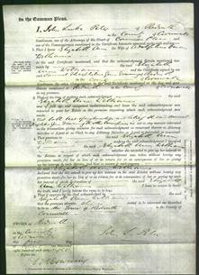 Court of Common Pleas - Elizabeth Ann Williams-Original Ancestry