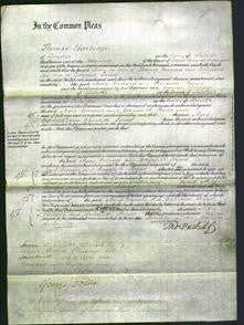 Court of Common Pleas - Mary Everard and Elizabeth James-Original Ancestry