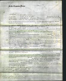 Court of Common Pleas - Rebecca Pitcairn-Original Ancestry
