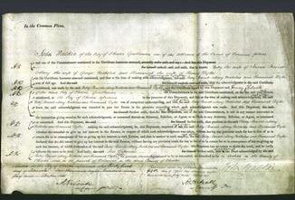 Court of Common Pleas - Betsy Bairsto, Mary Nicholas and Susannah Dyke-Original Ancestry