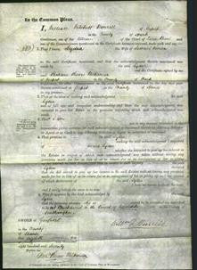 Court of Common Pleas - Lydia Vinson-Original Ancestry