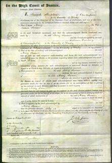 Court of Common Pleas - Mary Swain-Original Ancestry