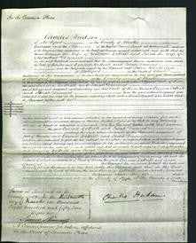 Court of Common Pleas - Emma Cottrill, Sarah Darwent-Original Ancestry