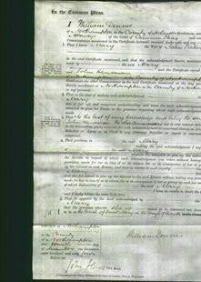 Court of Common Pleas - Mary Pickering-Original Ancestry