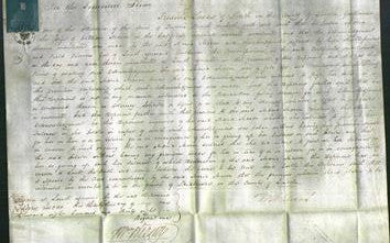 Court of Common Pleas - Maria Mason-Original Ancestry