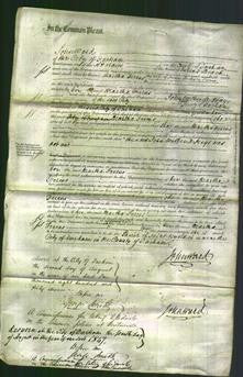 Court of Common Pleas - Martha Ferens-Original Ancestry