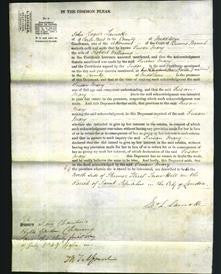 Court of Common Pleas - Susan Mary Williams-Original Ancestry