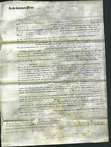 Court of Common Pleas - Rebecca Pooley-Original Ancestry