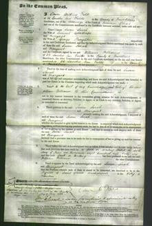 Court of Common Pleas - Susan Sarah Goldthorpe-Original Ancestry