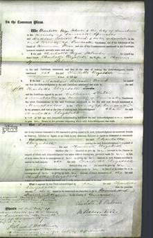 Court of Common Pleas - Charlotte Elizabeth Palmer-Original Ancestry