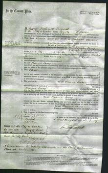 Court of Common Pleas - Rosina Jones-Original Ancestry