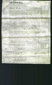 Court of Common Pleas - Jane Pursley, Mary Ann Pursley and Agnes Crocker Chaffe-Original Ancestry