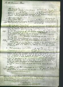 Court of Common Pleas - Eliza Wood and Susan Hepworth-Original Ancestry