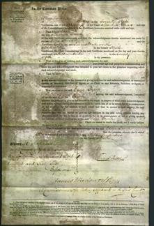 Court of Common Pleas - Eliza Brook-Original Ancestry