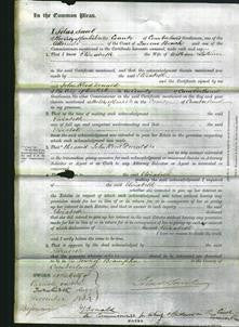 Court of Common Pleas - Elizabeth Latimer-Original Ancestry