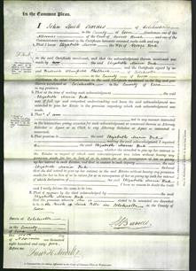 Court of Common Pleas - Elizabeth Maria York-Original Ancestry