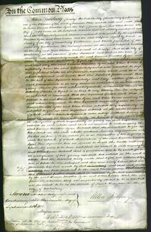 Court of Common Pleas - Emma Martha Lyons and Ellen Evans-Original Ancestry