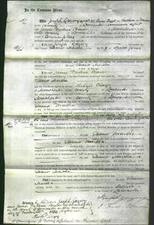 Court of Common Pleas - Eleanor Martha Jones-Original Ancestry
