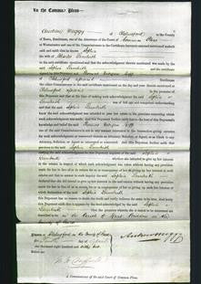 Court of Common Pleas - Sophia Lambirth-Original Ancestry