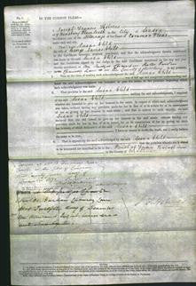 Court of Common Pleas - Susan Child-Original Ancestry