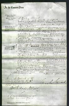 Court of Common Pleas - Margaret Catherine Lambert-Original Ancestry